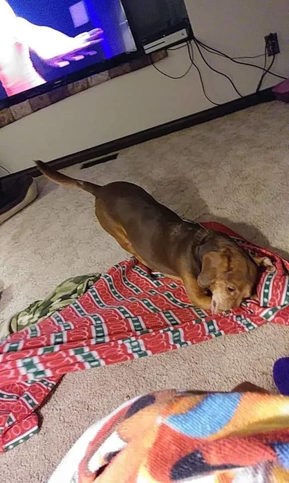 Oscar